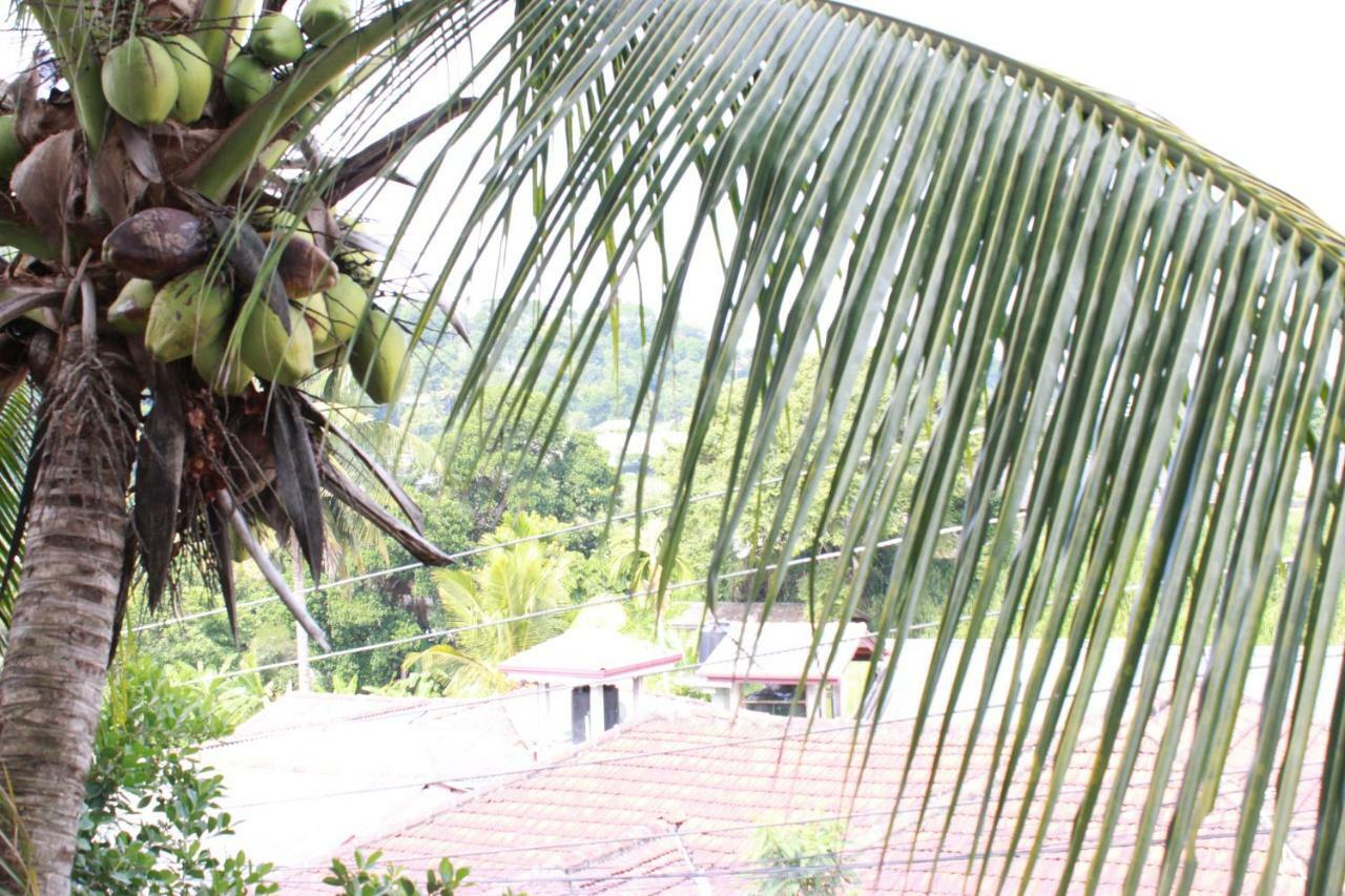 Resident View Homestay Kandy Esterno foto